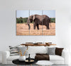 Magnificent Elephant Canvas Print