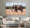 Magnificent Elephant Canvas Print