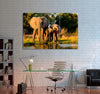 Elephants Canvas Print