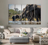 Elephants Drinking Water Canvas Print