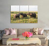 Group of Elephants Canvas Print