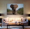 African Elephant Canvas Print