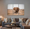 Elephant in The Savanna Field Canvas Print