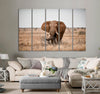 Elephant in The Savanna Field Canvas Print