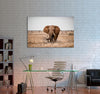 Elephant in The Savanna Field Canvas Print