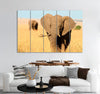 Elephant with Broken Fang Canvas Print