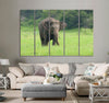 Elephant in The Nature Canvas Print