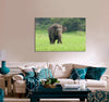 Elephant in The Nature Canvas Print