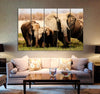 Elephant Family Canvas Print