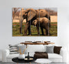 Baby Elephant & Mother Canvas Print