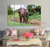 Asian Elephant Canvas Print