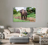 Asian Elephant Canvas Print