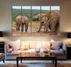 Massive Elephants Canvas Print