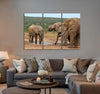 Massive Elephants Canvas Print