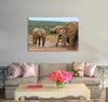 Massive Elephants Canvas Print