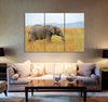 Grey Elephant Canvas Print