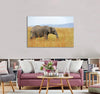 Grey Elephant Canvas Print