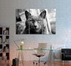 Russian Cat Canvas Print