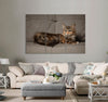 Beautiful Kitten Canvas Print