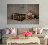 Beautiful Kitten Canvas Print