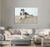 Husky Canvas Print