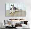 Husky Canvas Print