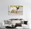 Cute Pug Canvas Print