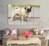 Cute Pug Canvas Print