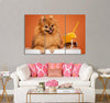 Cute Spitz Canvas Print