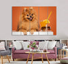 Cute Spitz Canvas Print