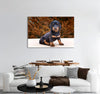 Black Puppy Canvas Print