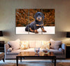 Black Puppy Canvas Print