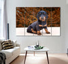 Black Puppy Canvas Print