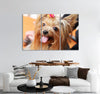 Cute York Terrier Canvas Print