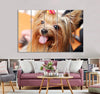 Cute York Terrier Canvas Print