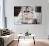 Cat Looking Forward Canvas Print