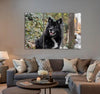 Happy Dog Canvas Print