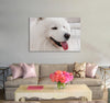 White Dog Canvas Print