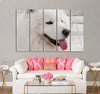 White Dog Canvas Print