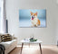 Corgi Canvas Print