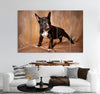 Standing Black Puppy Canvas Print