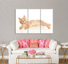 Cute Cat Canvas Print