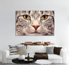 Cat Face Canvas Print