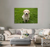 Puppy Sitting on a Grass Canvas Print