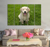 Puppy Sitting on a Grass Canvas Print