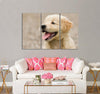 Adorable Puppy Canvas Print