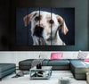 Cute White Dog Canvas Print