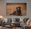 Brown Labrador Canvas Print