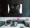 Black Cat Canvas Print