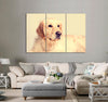 Cute Dog Canvas Print